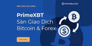 Exploring the Features and Benefits of the PrimeXBT Website Exploring the Features and Benefits of the PrimeXBT Website