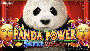 Discover the Thrills of Spinpanda Casino 8